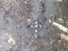 Medicine Wheel