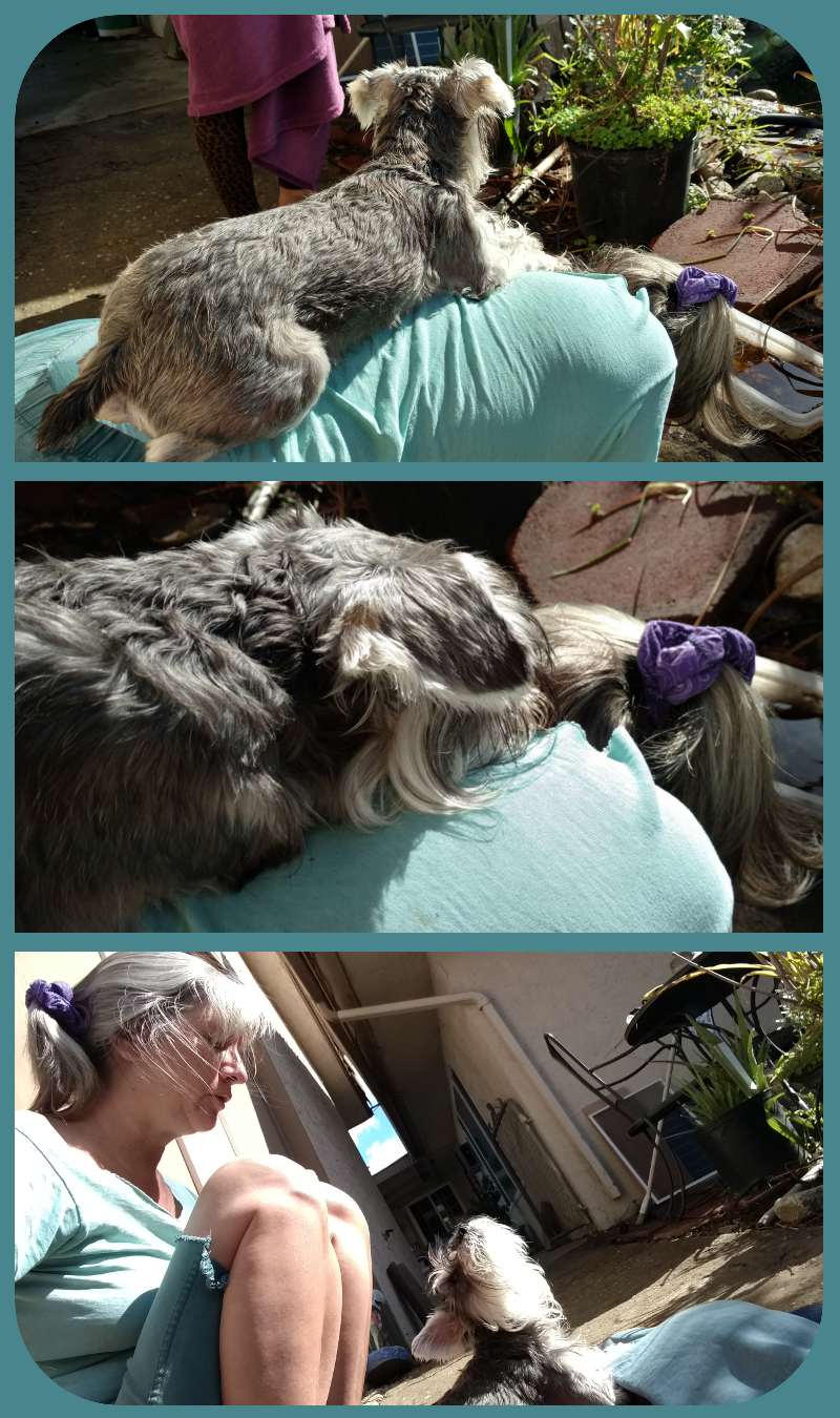 The Bitch of The Wait