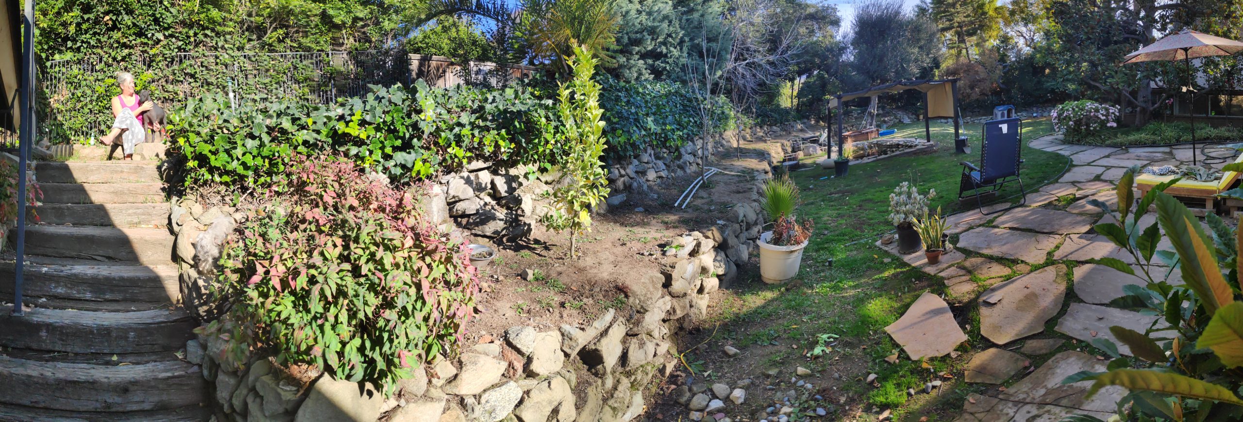 Panorama of yard with woman and dog sitting in a spot of sunlight.