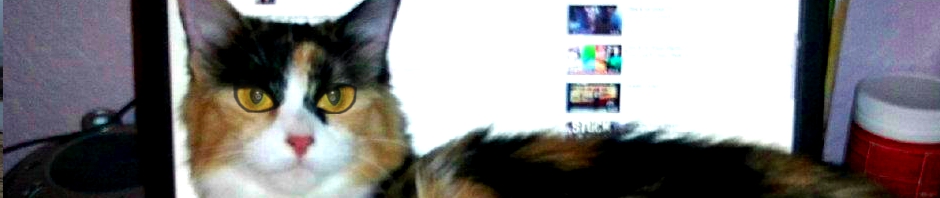 Welcome to The Litter Box!