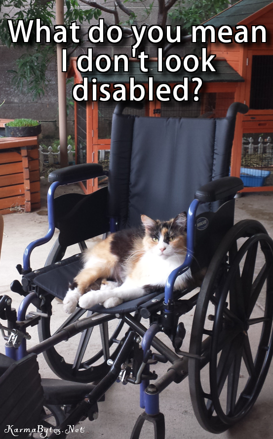 I don’t look disabled?