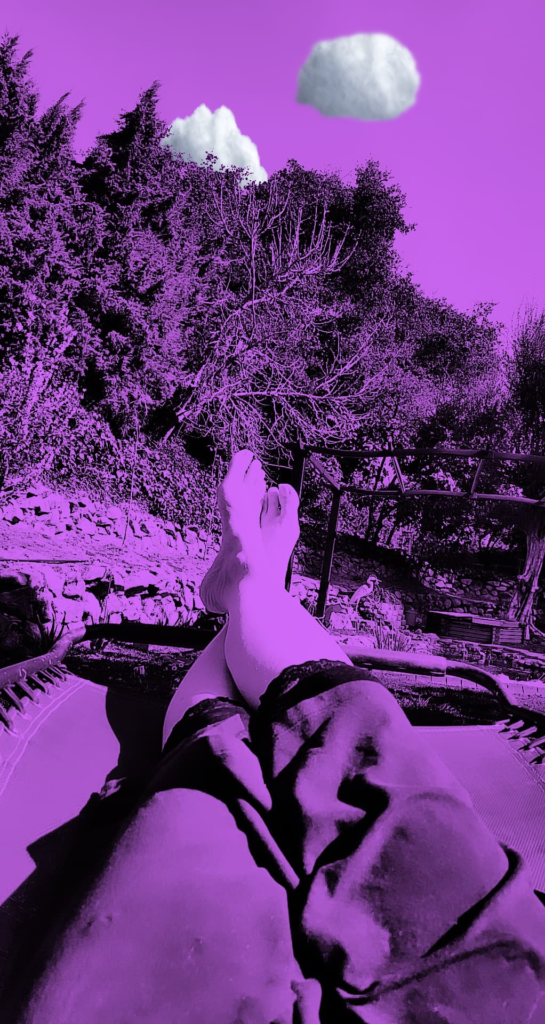 White smoke over purple trees