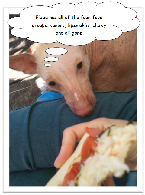 Talking Paws — Pizza Persuasion