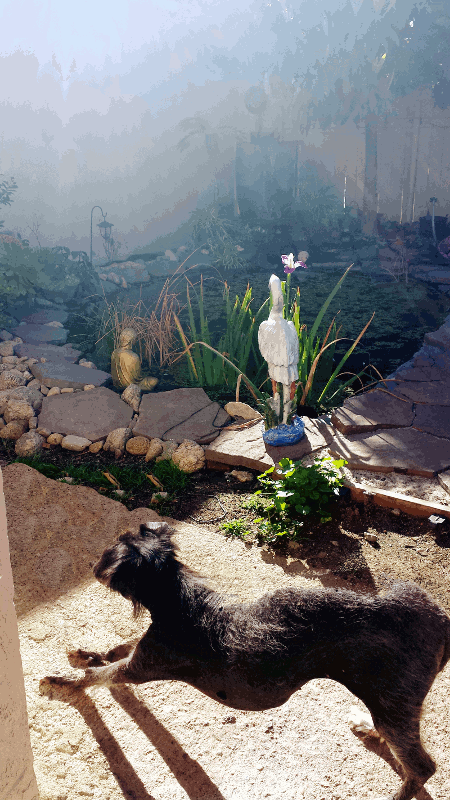 Quietly Quantifying Quality